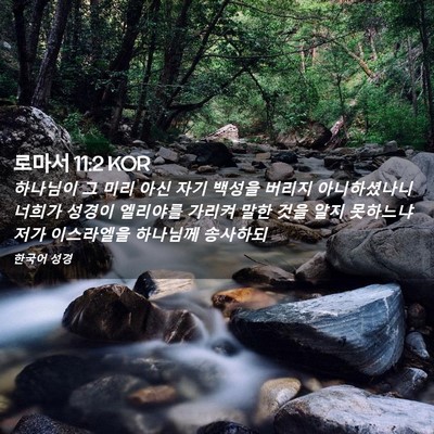 Picture 02 - 로마서 11:2 KOR - 하나님이 그 미리 아신 자기 백성을 - Bible Verse Picture