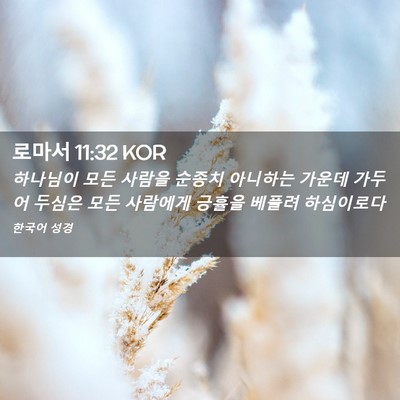 Picture 02 - 로마서 11:32 KOR - 하나님이 모든 사람을 순종치 - Bible Verse Picture