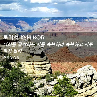 Picture 02 - 로마서 12:14 KOR - 너희를 핍박하는 자를 축복하라 - Bible Verse Picture
