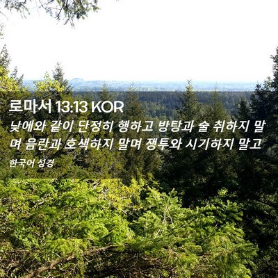 Picture 02 - 로마서 13:13 KOR - 낮에와 같이 단정히 행하고 방탕과 - Bible Verse Picture