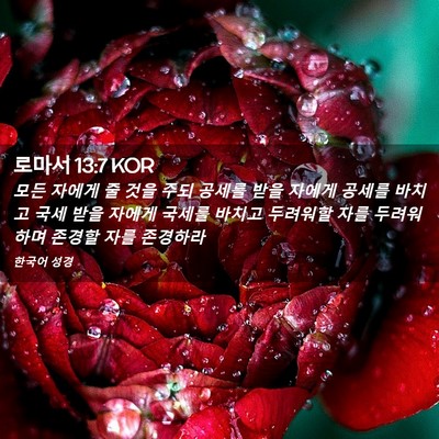 Picture 02 - 로마서 13:7 KOR - 모든 자에게 줄 것을 주되 공세를 - Bible Verse Picture