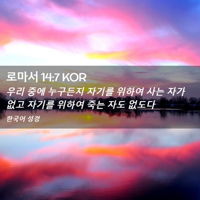 Picture 02 - 로마서 14:7 KOR - 우리 중에 누구든지 자기를 위하여 - Bible Verse Picture