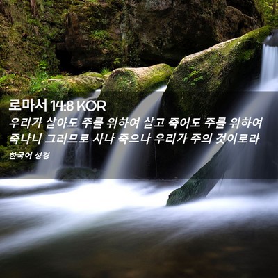 Picture 02 - 로마서 14:8 KOR - 우리가 살아도 주를 위하여 살고 - Bible Verse Picture