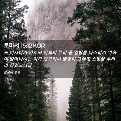 Picture 02 - 로마서 15:12 KOR - 또 이사야가 가로되 이새의 뿌리 곧 - Bible Verse Picture