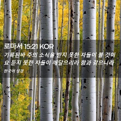 Picture 02 - 로마서 15:21 KOR - 기록된바 주의 소식을 받지 못한 - Bible Verse Picture
