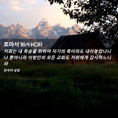 Picture 02 - 로마서 16:4 KOR - 저희는 내 목숨을 위하여 자기의 - Bible Verse Picture