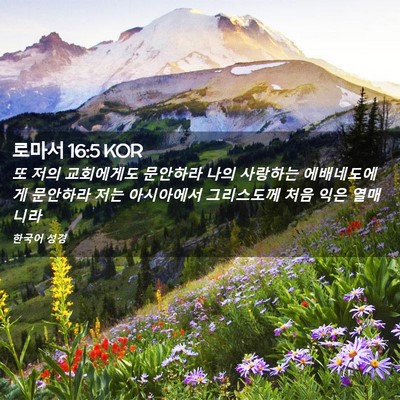 Picture 02 - 로마서 16:5 KOR - 또 저의 교회에게도 문안하라 나의 - Bible Verse Picture