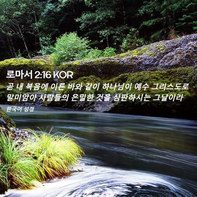 Picture 02 - 로마서 2:16 KOR - 곧 내 복음에 이른 바와 같이 - Bible Verse Picture