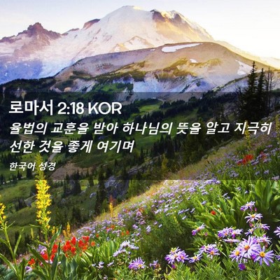 Picture 02 - 로마서 2:18 KOR - 율법의 교훈을 받아 하나님의 뜻을 - Bible Verse Picture