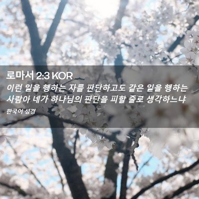 Picture 02 - 로마서 2:3 KOR - 이런 일을 행하는 자를 판단하고도 - Bible Verse Picture