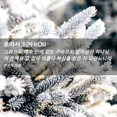 Picture 02 - 로마서 3:24 KOR - 그리스도 예수 안에 있는 구속으로 - Bible Verse Picture
