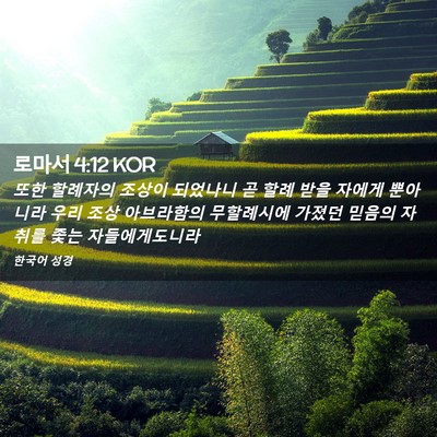 Picture 02 - 로마서 4:12 KOR - 또한 할례자의 조상이 되었나니 곧 - Bible Verse Picture