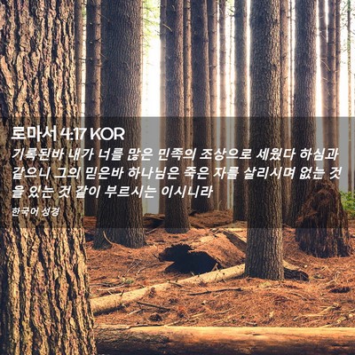 Picture 02 - 로마서 4:17 KOR - 기록된바 내가 너를 많은 민족의 - Bible Verse Picture