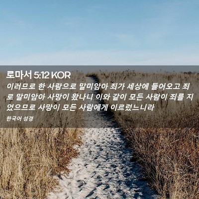 Picture 02 - 로마서 5:12 KOR - 이러므로 한 사람으로 말미암아 죄가 - Bible Verse Picture