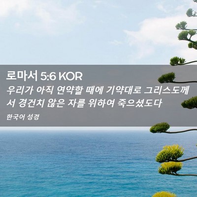 Picture 02 - 로마서 5:6 KOR - 우리가 아직 연약할 때에 기약대로 - Bible Verse Picture