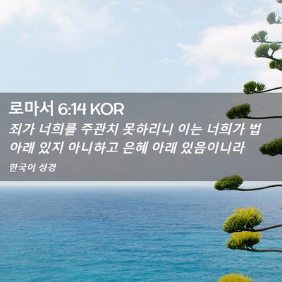 Picture 02 - 로마서 6:14 KOR - 죄가 너희를 주관치 못하리니 이는 - Bible Verse Picture