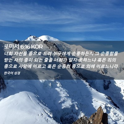 Picture 02 - 로마서 6:16 KOR - 너희 자신을 종으로 드려 누구에게 - Bible Verse Picture