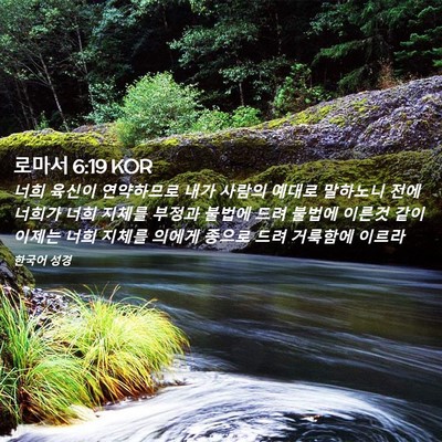 Picture 02 - 로마서 6:19 KOR - 너희 육신이 연약하므로 내가 사람의 - Bible Verse Picture