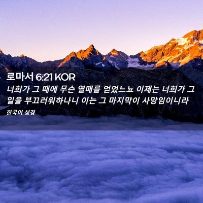 Picture 02 - 로마서 6:21 KOR - 너희가 그 때에 무슨 열매를 - Bible Verse Picture