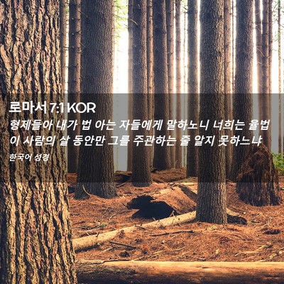 Picture 02 - 로마서 7:1 KOR - 형제들아 내가 법 아는 자들에게 - Bible Verse Picture