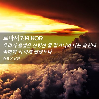 Picture 02 - 로마서 7:14 KOR - 우리가 율법은 신령한 줄 알거니와 - Bible Verse Picture