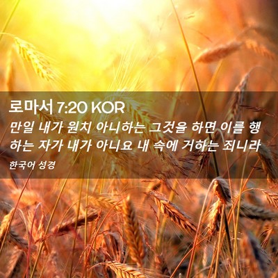 Picture 02 - 로마서 7:20 KOR - 만일 내가 원치 아니하는 그것을 - Bible Verse Picture