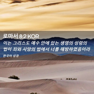 Picture 02 - 로마서 8:2 KOR - 이는 그리스도 예수 안에 있는 - Bible Verse Picture
