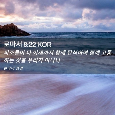 Picture 02 - 로마서 8:22 KOR - 피조물이 다 이제까지 함께 탄식하며 - Bible Verse Picture