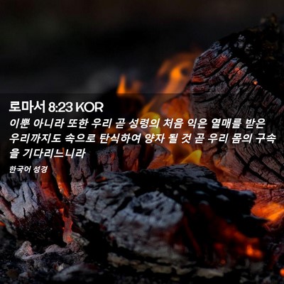 Picture 02 - 로마서 8:23 KOR - 이뿐 아니라 또한 우리 곧 성령의 - Bible Verse Picture
