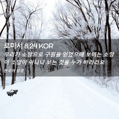 Picture 02 - 로마서 8:24 KOR - 우리가 소망으로 구원을 얻었으매 - Bible Verse Picture
