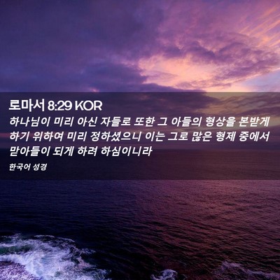 Picture 02 - 로마서 8:29 KOR - 하나님이 미리 아신 자들로 또한 그 - Bible Verse Picture