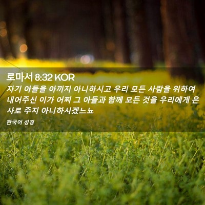 Picture 02 - 로마서 8:32 KOR - 자기 아들을 아끼지 아니하시고 우리 - Bible Verse Picture