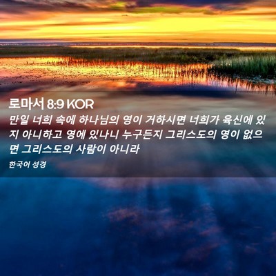 Picture 02 - 로마서 8:9 KOR - 만일 너희 속에 하나님의 영이 - Bible Verse Picture