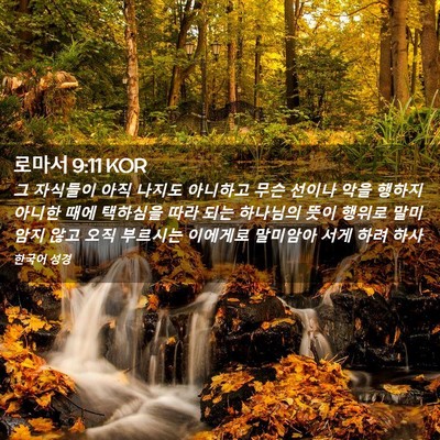 Picture 02 - 로마서 9:11 KOR - 그 자식들이 아직 나지도 아니하고 - Bible Verse Picture