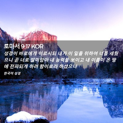 Picture 02 - 로마서 9:17 KOR - 성경이 바로에게 이르시되 내가 이 - Bible Verse Picture