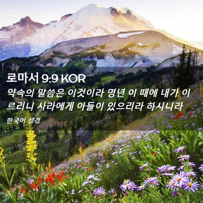 Picture 02 - 로마서 9:9 KOR - 약속의 말씀은 이것이라 명년 이 - Bible Verse Picture