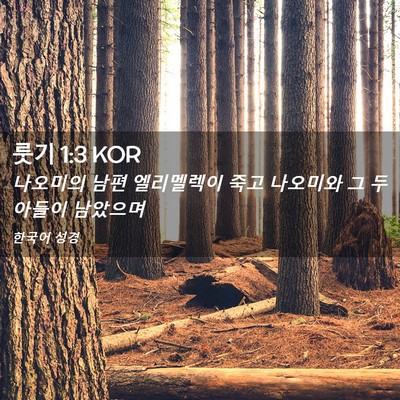 Picture 02 - 룻기 1:3 KOR - 나오미의 남편 엘리멜렉이 죽고 - Bible Verse Picture