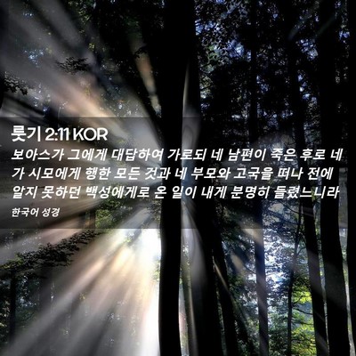 Picture 02 - 룻기 2:11 KOR - 보아스가 그에게 대답하여 가로되 네 - Bible Verse Picture