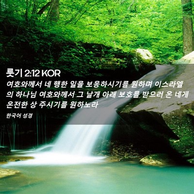 Picture 02 - 룻기 2:12 KOR - 여호와께서 네 행한 일을 - Bible Verse Picture