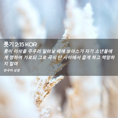 Picture 02 - 룻기 2:15 KOR - 룻이 이삭을 주우러 일어날 때에 - Bible Verse Picture