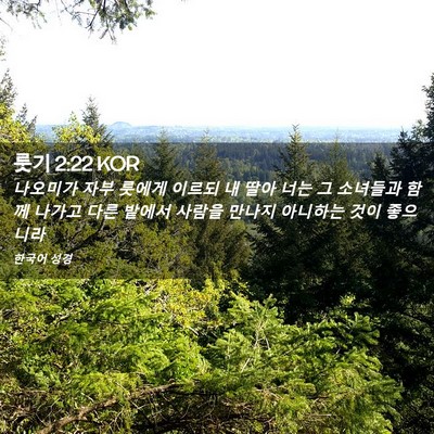Picture 02 - 룻기 2:22 KOR - 나오미가 자부 룻에게 이르되 내 - Bible Verse Picture