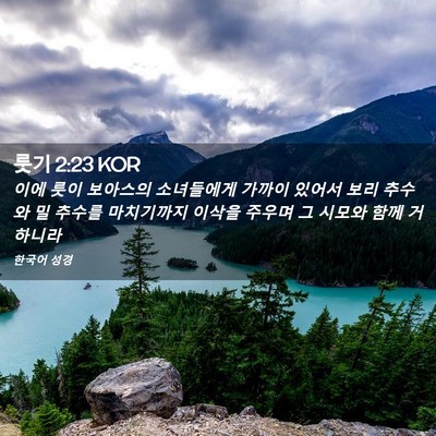 Picture 02 - 룻기 2:23 KOR - 이에 룻이 보아스의 소녀들에게 - Bible Verse Picture