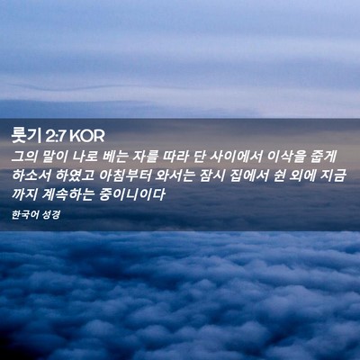 Picture 02 - 룻기 2:7 KOR - 그의 말이 나로 베는 자를 따라 단 - Bible Verse Picture