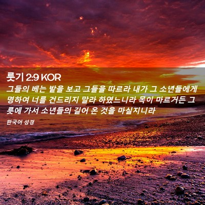 Picture 02 - 룻기 2:9 KOR - 그들의 베는 밭을 보고 그들을 - Bible Verse Picture