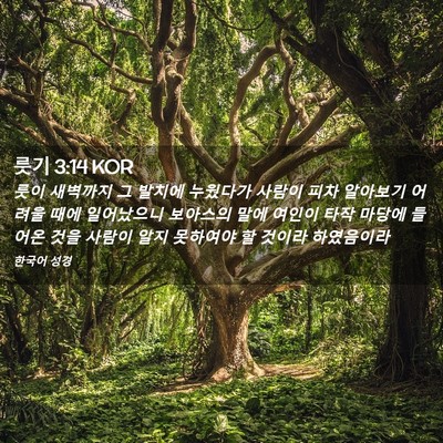 Picture 02 - 룻기 3:14 KOR - 룻이 새벽까지 그 발치에 누웠다가 - Bible Verse Picture