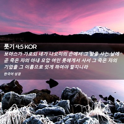Picture 02 - 룻기 4:5 KOR - 보아스가 가로되 네가 나오미의 - Bible Verse Picture