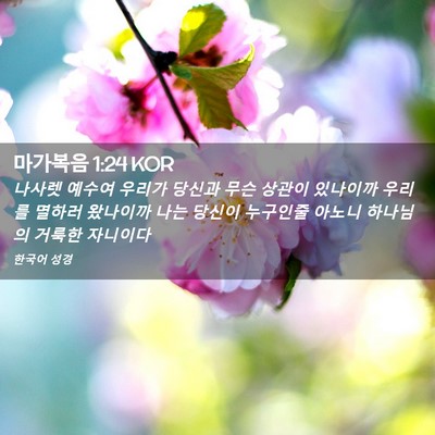 Picture 02 - 마가복음 1:24 KOR - 나사렛 예수여 우리가 당신과 무슨 - Bible Verse Picture