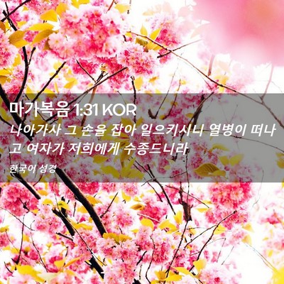 Picture 02 - 마가복음 1:31 KOR - 나아가사 그 손을 잡아 일으키시니 - Bible Verse Picture