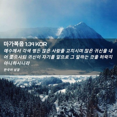 Picture 02 - 마가복음 1:34 KOR - 예수께서 각색 병든 많은 사람을 - Bible Verse Picture