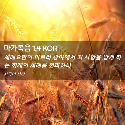 Picture 02 - 마가복음 1:4 KOR - 세례요한이 이르러 광야에서 죄 - Bible Verse Picture
